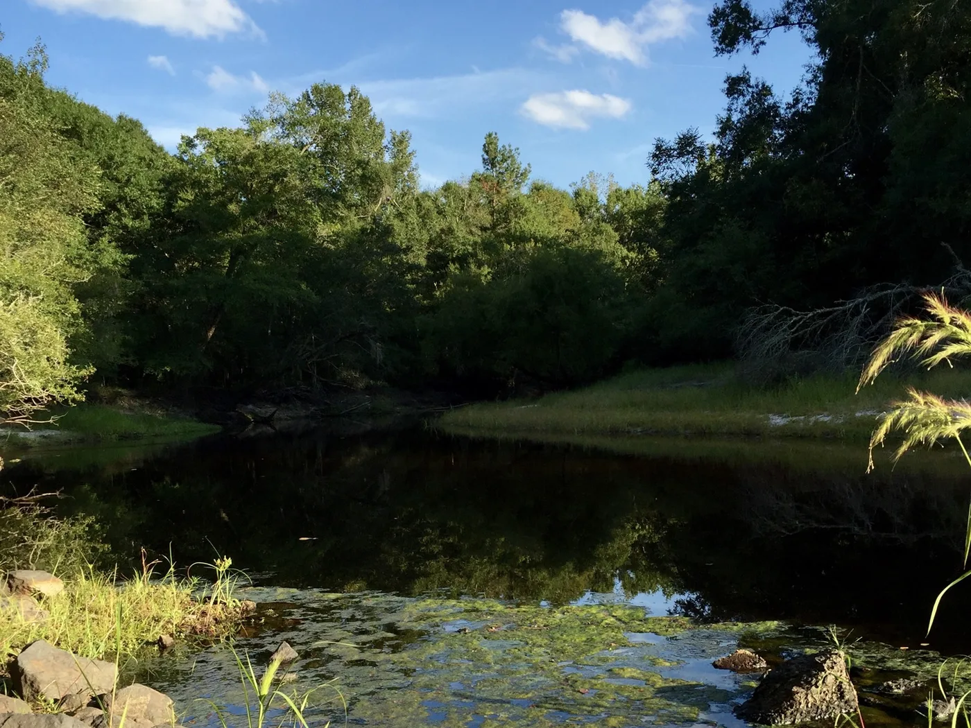 Demolition & Land Clearing in Kingstree, SC